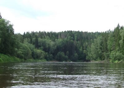 DSCF3053